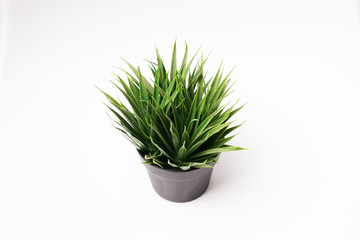Decorative artificial plants on black pot - green grass
