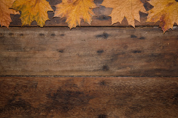 Autumn leaves on rustic wooden table. Thanksgiving background. Top view with copy space. - 302585943