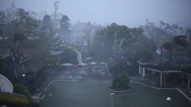 Violent Hurricane Wind Lash Town - KoppuII