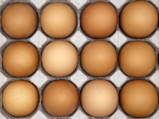 Brown chicken egg in paper box isolated on white background