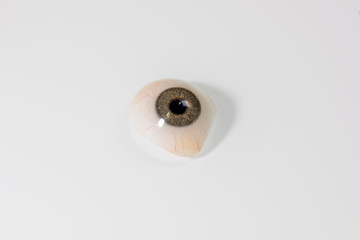 Glass eye prosthetic or Ocular prosthesis with shadow on white