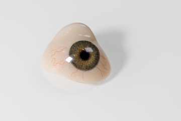 Glass eye prosthetic or Ocular prosthesis with shadow on white
