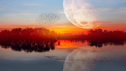 Silhouette of birds flying above the lake against full moon at sunset "Elements of this image furnished by NASA "