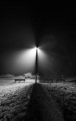 Night. lantern shines in the park