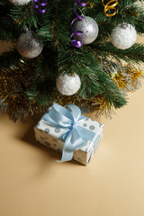 Fototapeta na wymiar New Year's gifts under the Christmas tree