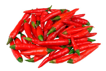 Daily food product - pods of super hot red spicy micro chili peppers in heap on table  isolated macro