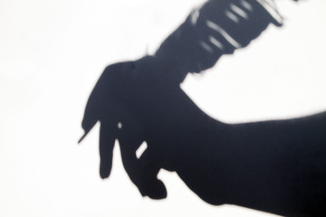 Dark shadow of a hand with a goose feather