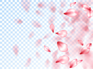Pink sakura petals falling vector graphics.