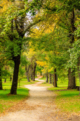 trees with autumn colored leaves in the park of the Casa de Campo in Madrid