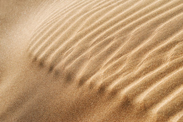 Fototapeta na wymiar Abstract closeup of desert sand pattern in the Sahara desert of Morocco. 
