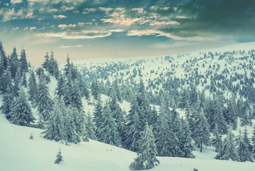 Poster Winter forest © Galyna Andrushko