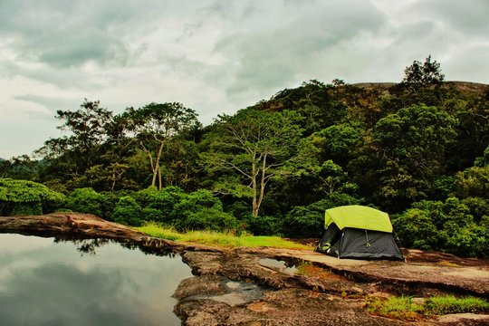 Tented stay inside junglee
