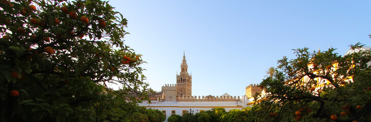 Seville Cathedral ( Catedral de Santa Maria de la Sede), Gothic style architecture in Spain, Andalusia