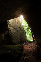 Mystic cave in an ancient forest.