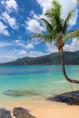 Coconut palm trees on tropical island and turquoise sea. Summer vacation and tropical beach concept.