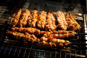 Grilled Chicken Skewers grilled on chacoal 