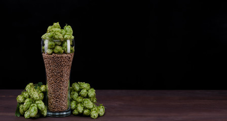 Brewing concept. Beer glass with malt and wheat, and fresh green hops like a foam on dark wooden table. Empty space for text. Black background
