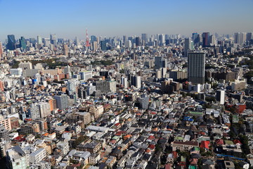 上空より眺める東京都心の風景
