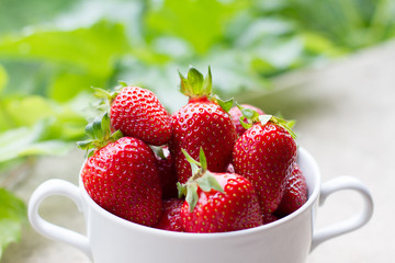 Red, juicy strawberries in a white plate. The view from the top. Space for text. Fresh red strawberries are ready to eat. A pile of fresh strawberries on the background of a green garden.