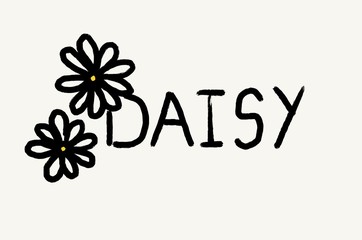 A drawing daisy flowers.