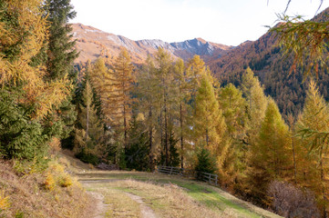 Fototapeta na wymiar Mountain landscape in Tirol