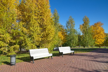 Golden autumn in the city Park