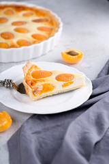 Apricot and cottage cheese pie or shortbread crust cake in white baking pan on dark grey washed linen table cloth, summer fruit dessert 