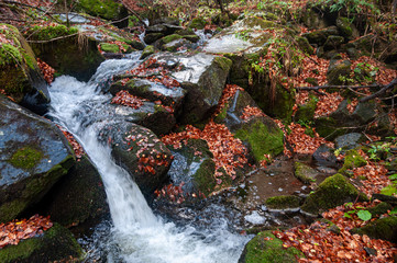 Autumn creek woods with and rocks in forest mountain.