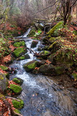 Autumn creek woods with and rocks in forest mountain.