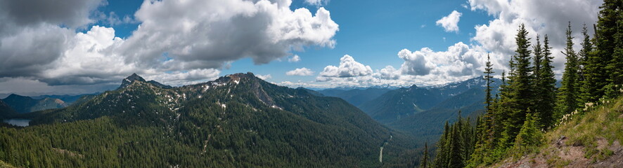 Panoramic view of canyon and cypress forest with cloudy blue sky, Washington, United States.