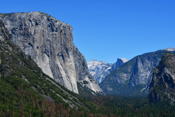 Fototapeta na wymiar USA - july 12 2016 : Yosemite National Park