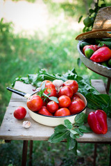 Assortment of summer or autumn vegetables harvest in trays and bowls in garden or farm background with farmer`s hat. Agricultural products in rural area, copy space, selected focus