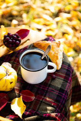 Cup of hot coffee or chocolate or tea in white mug with spoon in autumn garden scenery with golden yellow and red leaves on checkered plaid. Romantic fall cozy still life on wooden chair