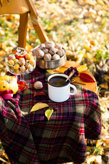Cup of hot coffee or chocolate or tea in white mug with spoon in autumn garden scenery with golden yellow and red leaves on checkered plaid. Romantic fall cozy still life on wooden chair