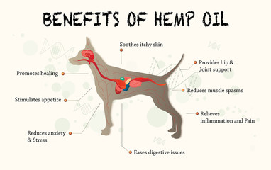 benefits of hemp oil of dog and pet