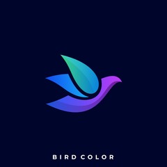 Modern Bird Colorful Illustration Vector Template