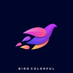 Modern Bird Colorful Illustration Vector Template