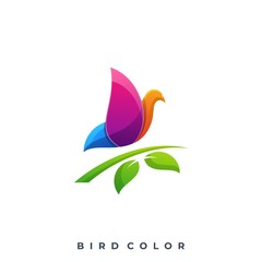 Modern Bird Colorful Illustration Vector Template