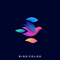 Modern Bird Colorful Illustration Vector Template