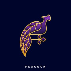 Luxury Bird Illustration Vector Template