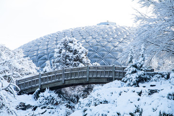 Wooden brigde and Bloedel Conservatory in Queen Elizabeth Park in snow day in the winter.