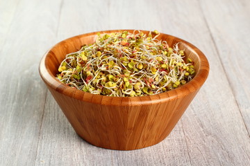 Radish sprouts