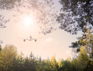 View through the trees on the plane in the sky. The evening sunset.