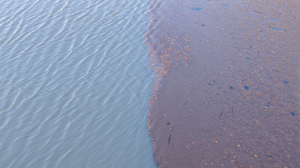 Agua y vida, barro y muerte