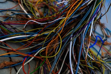 colorful cables in computer networks