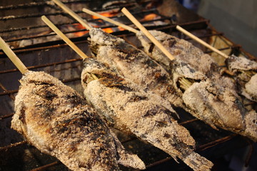  Grilled Fish