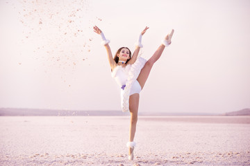 Tender young ballerina dancer in a snow-white tutu dress and white pointe shoes on a salty dried lake. Fantastic landscape and a girl  ballerina © Ann Stryzhekin