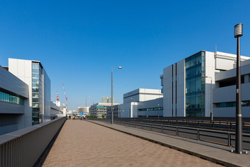豊洲市場