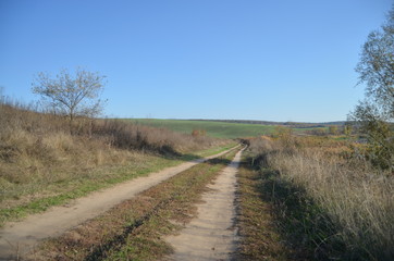 Fototapeta na wymiar country road among fields and trees