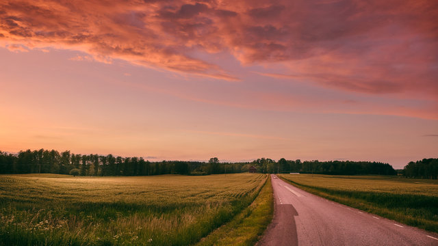 Sunset over a field with a road in the middle